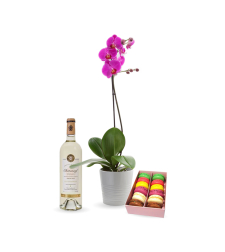 Gift box with orchid, wine and macarons Perly