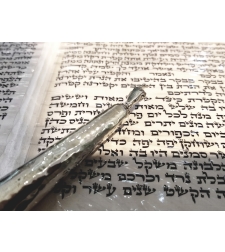 Hand for reading the Torah 