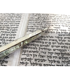 A hand for the Torah book 