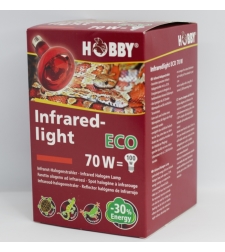 Hobby Infra red-light 70w | נורת חימום חסכונית לזוחלים