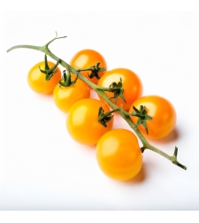 עגבניה - שרי צהוב - מארז 500 ג׳