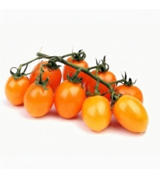 עגבניה שרי כתום - מארז 500 ג׳