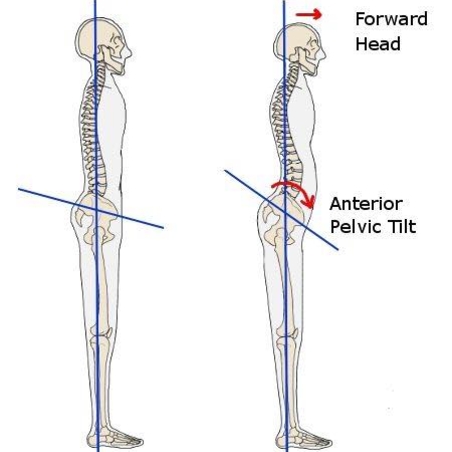 Your posture is more important than you think!