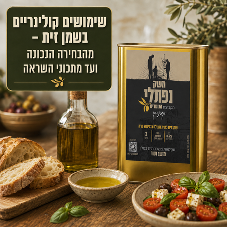 שימושים קולינריים בשמן זית – מהבחירה הנכונה ועד מתכוני השראה