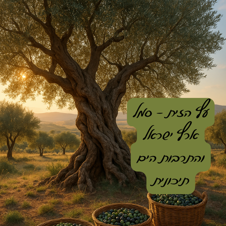 עץ הזית - סמל ארץ ישראל והתרבות הים־תיכונית