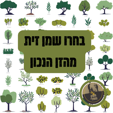 בחרו שמן זית מהזן הנכון