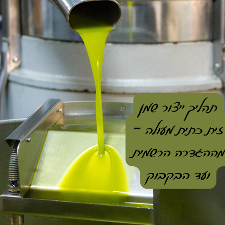 תהליך ייצור שמן זית כתית מעולה – מההגדרה הרשמית ועד הבקבוק