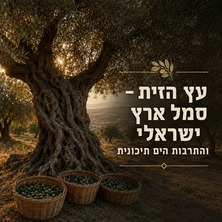 עץ הזית - סמל ארץ ישראל והתרבות הים־תיכונית