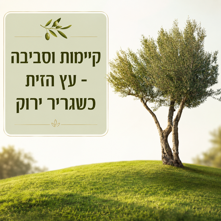 קיימות וסביבה – עץ הזית כשגריר ירוק