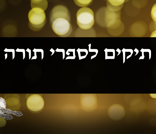 תיקים לספר תורה- אפרים יודאיקה