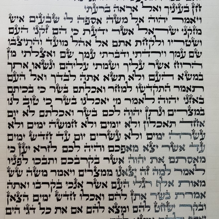 קדושת ספר תורה 