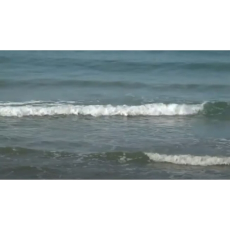 וידאו ארט גלים | Waves