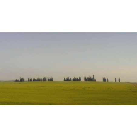 צילום נוף, ארץ | LANDscape