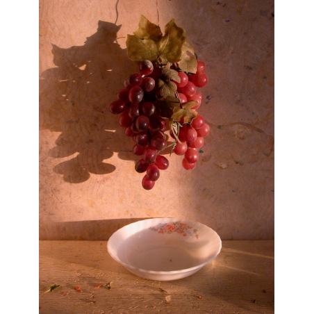 צילום טבע דומם | still life