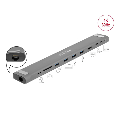 Delock USB Type-C Docking Station 10 Ports D87748