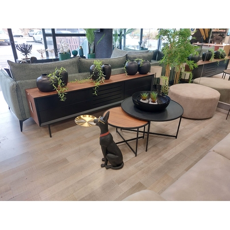 מזנון פרימיום