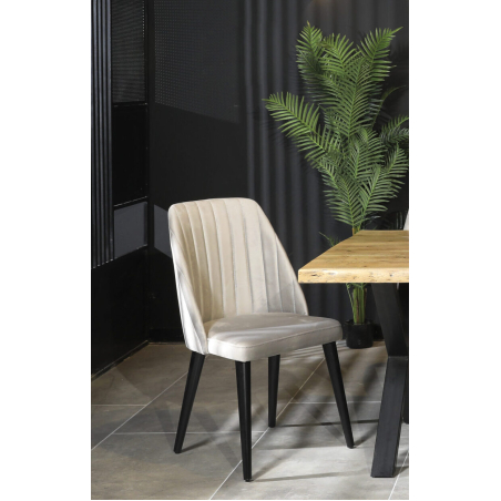 כיסא דגם טיראן