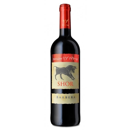 שילה שור ברברה 2023