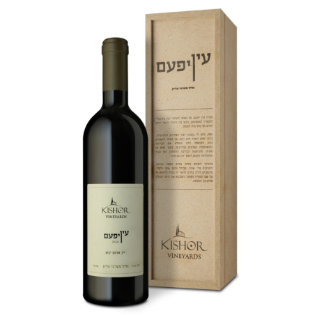 כישור עין יפעם 2019