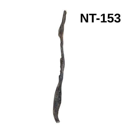 קרניבור מעי גמל 50-55 ס