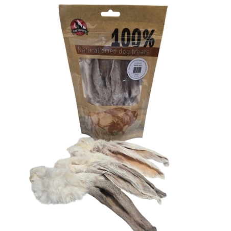 קרניבור אוזני ארנב