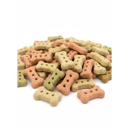 חטיף ביסקוויט לכלב 100 גרם