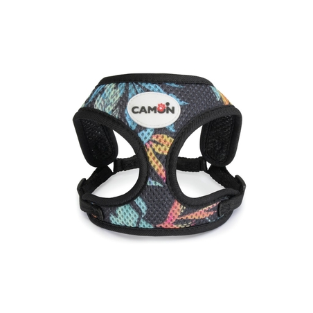 ריתמה לכלב קטן - קמון