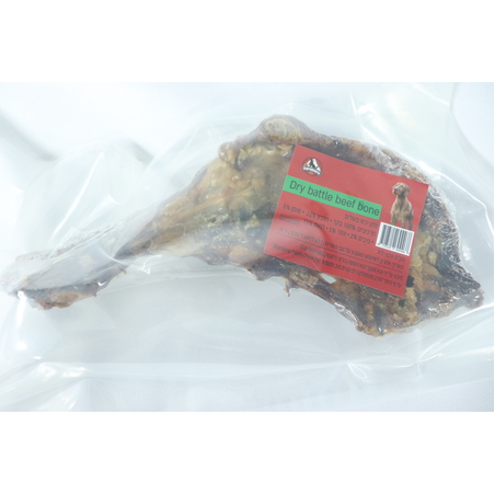 קרניבור עצם כתף