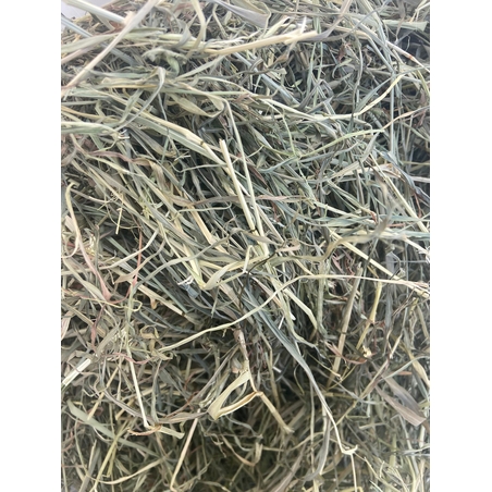 חציר שיבולת שועל 1 ק