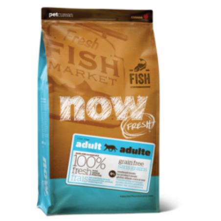 NOW FRESH 2.72 ק