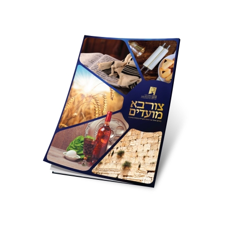 צורבא מועדים