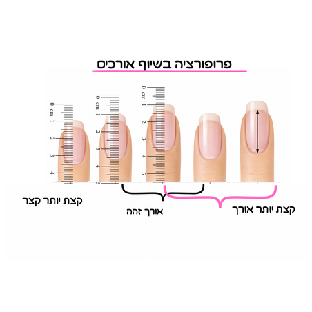 קורס MASTER SHAPE