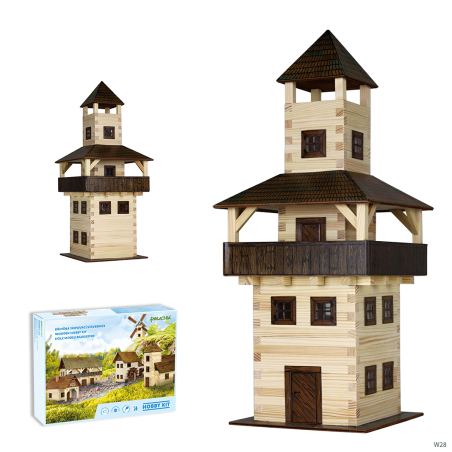 בית עם מגדל