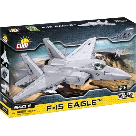 מטוס F-15 EAGLE - רעם