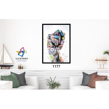 דגם: 1177 - אגוף צבעוני הפוך