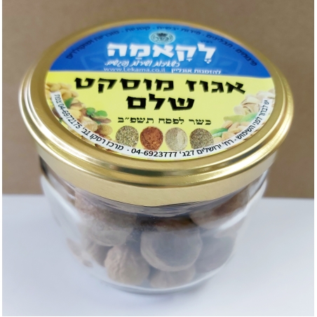 אגוז מוסקט שלם - זכוכית