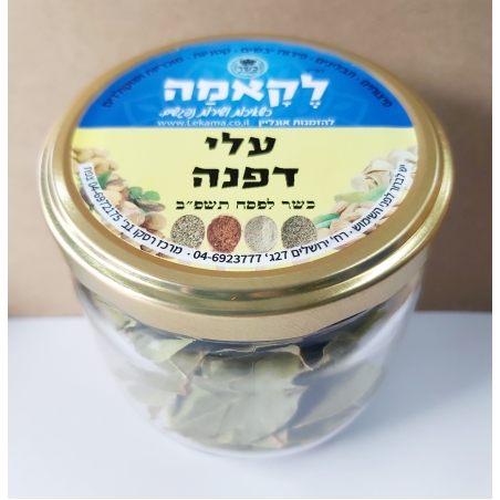 עלי דפנה - זכוכית