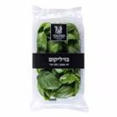 מארז בזיליקום 