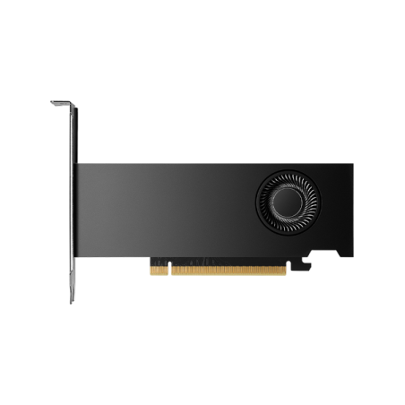 כרטיס מסך NVIDIA RTX 2000 Ada Generation 16GB 4XMiniDP