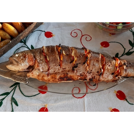 פורל ורוד ג'מבו (משפחתי)