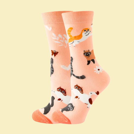 גרביים מעוצבים חתולים משחקים - נשים