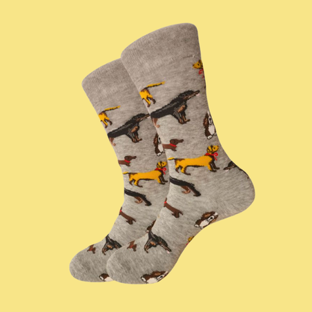 גרביים מעוצבים כלבים מסוג נקניק