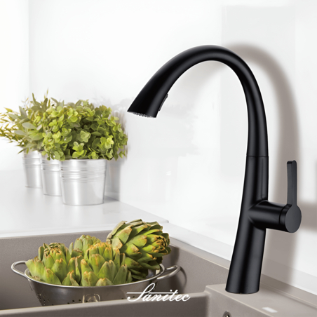 ברז מטבח נשלף שחור 2 מצבים 801B