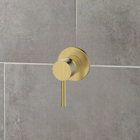 אינטרפוץ 3 דרך זהב מוברש ZV435