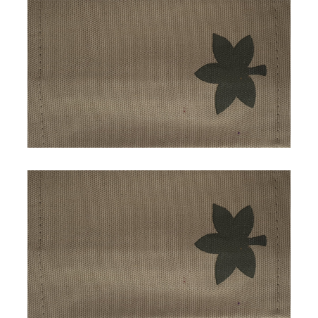 דרגות ב' רב סרן (זוג)