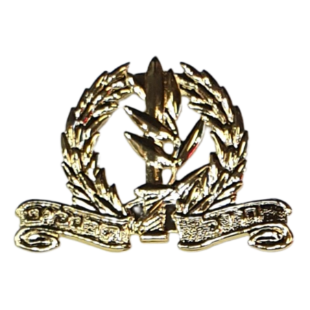 סיכת כומתה חיל הרגלים מוזהב