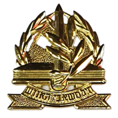 סיכת כומתה משאבי אנוש מוזהב