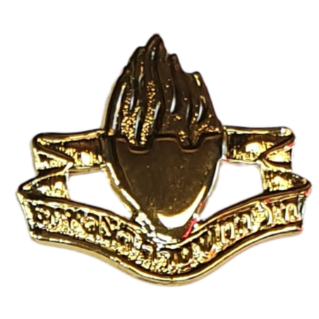 סיכת כומתה משטרה צבאית מוזהב