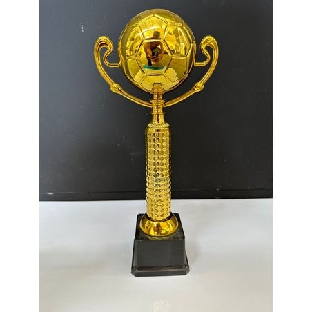 מגן הוקרה כדורגל