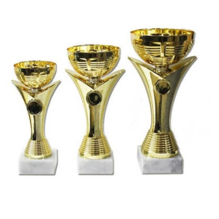 סט גביע הוקרה – 442209